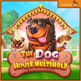도그 하우스 멀티홀드