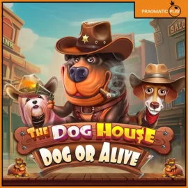 도그 하우스 도그 or 어라이브