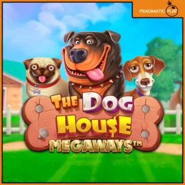 도그 하우스 메가웨이즈