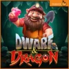 드워프 앤 드래곤