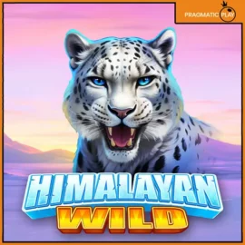 히말라얀 와일드